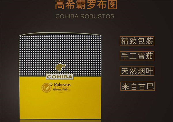 房屋外烟道装什么好